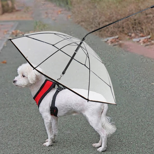 SOMBRILLA PARAGUAS PARA PERRO