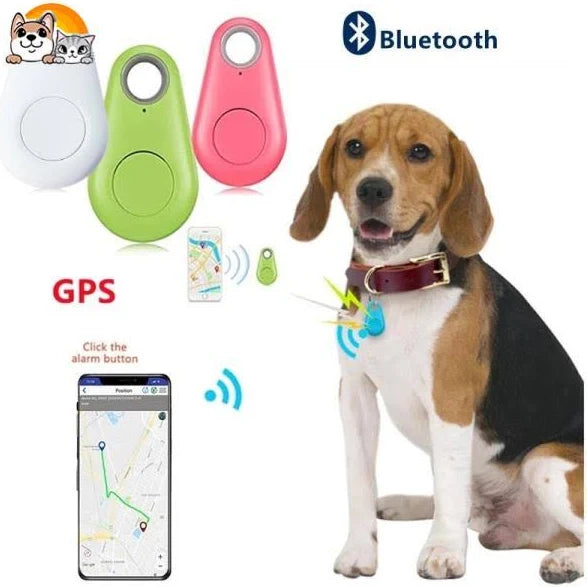 CHIP GPS PARA PERROS